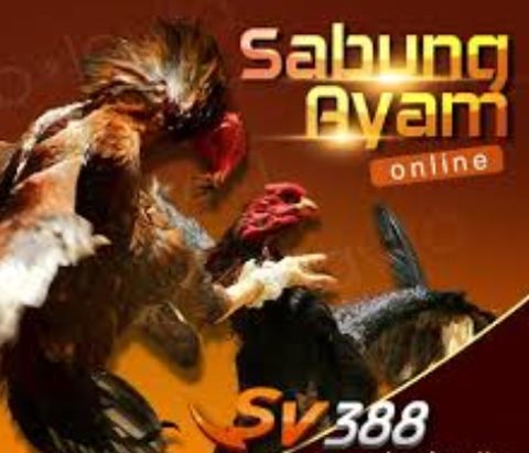 Sv388 | Game Judi Sabung Ayam Online Terbaik | Sv388 2022